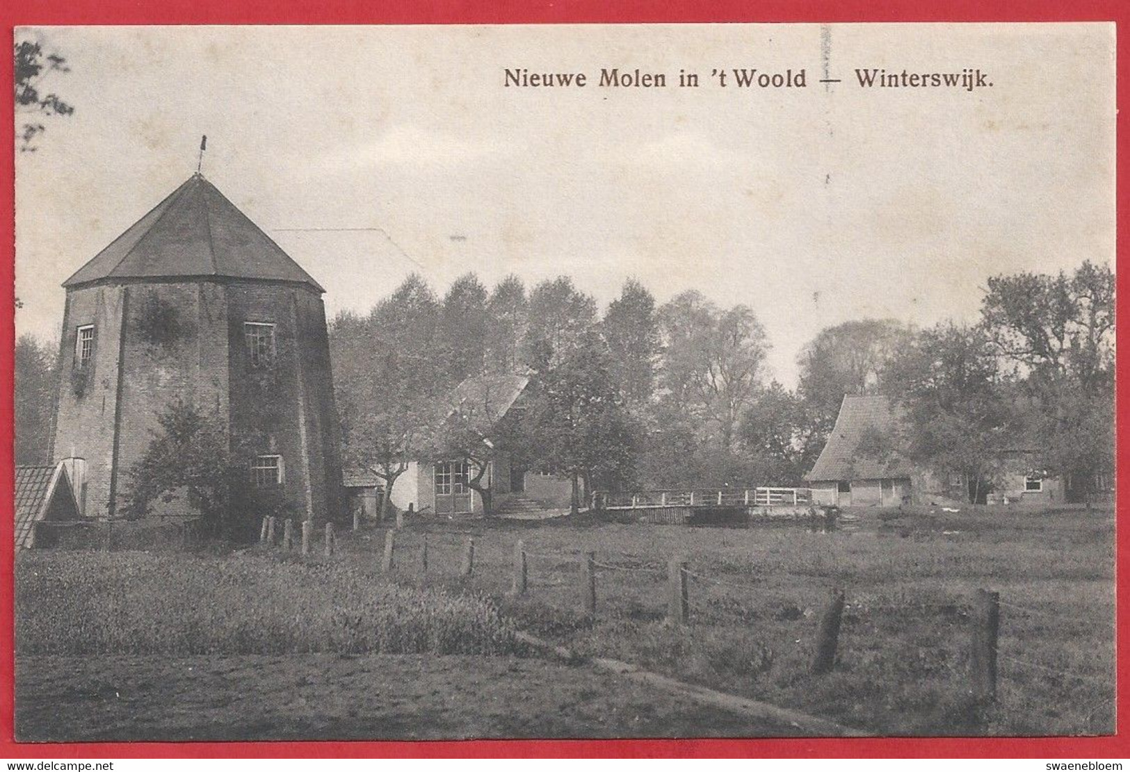 NL.- WINTERSWIJK. NIEUWE MOLEN - IN - 'T WOOLD -. Uitgave G.J. Albrecht. - Winterswijk