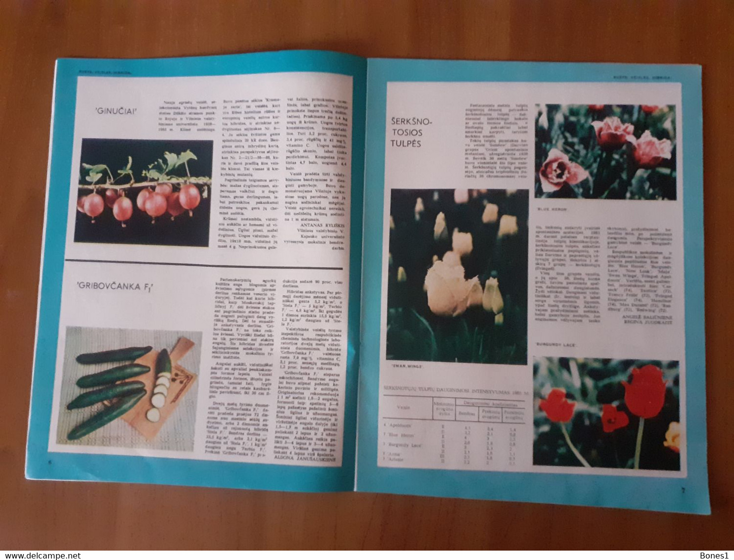 Lithuania Magazine Garden 1986 - Tuinieren