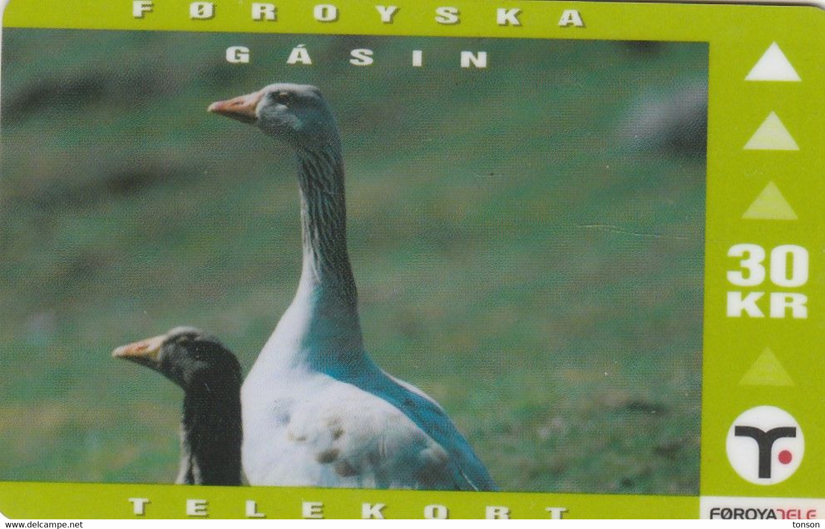 Faroe Islands, OD-023,  30 Kr , Faroese Animals, Goose, 2 Scans. - Isole Faroe