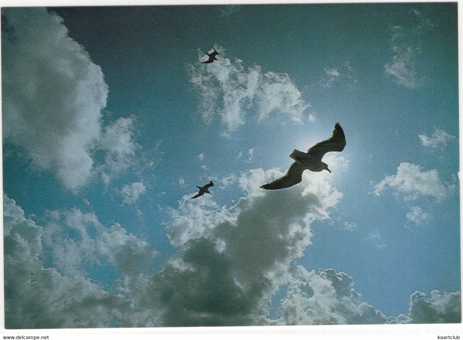 De Waddenzee - (Zeemeeuwen, Dreigende Lucht) - (Holland) - Sonstige & Ohne Zuordnung