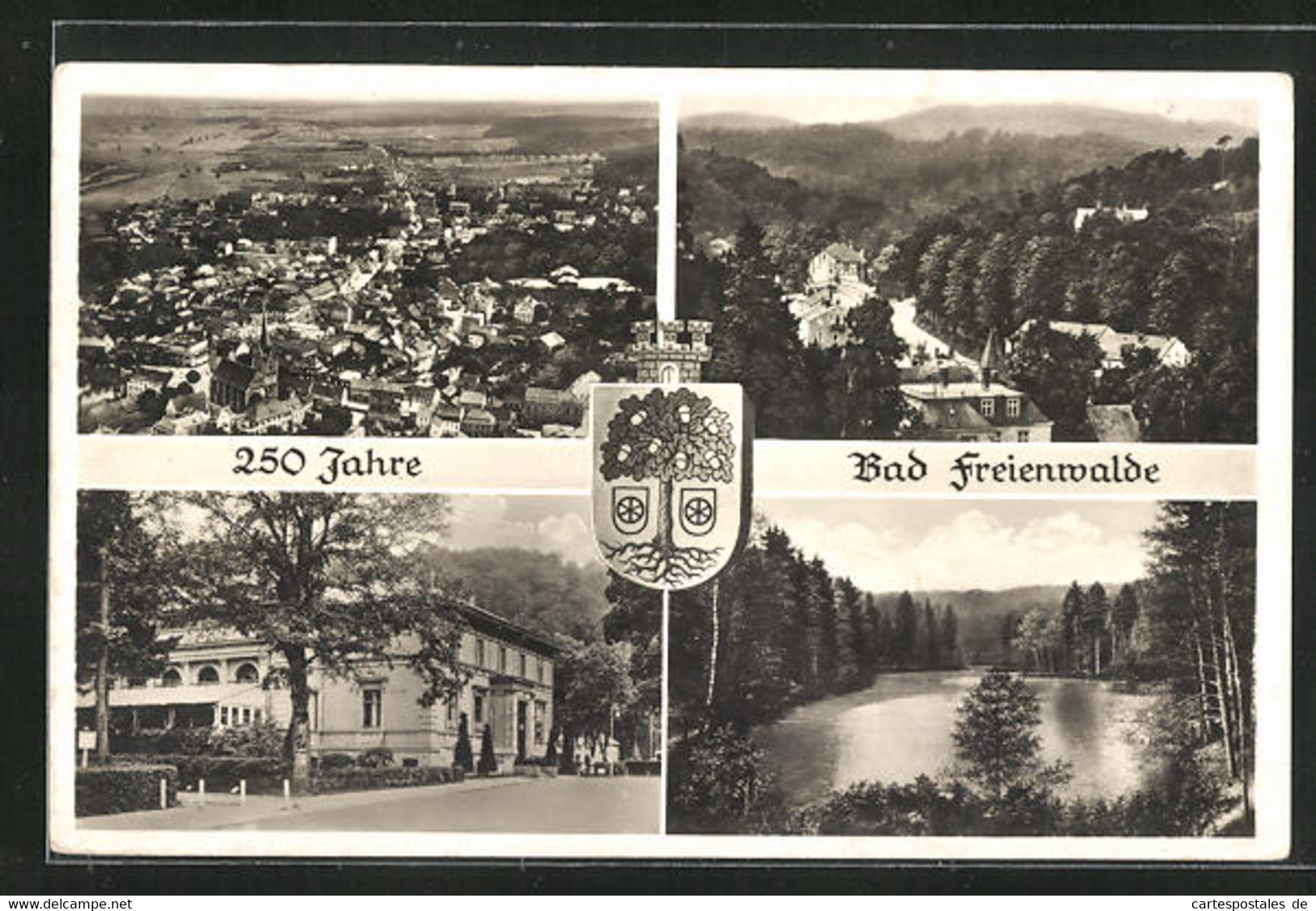 AK Bad Freienwalde, Stadtwappen, Fliegeraufnahme Des Ortes, Gasthaus Mit Terrasse - Bad Freienwalde