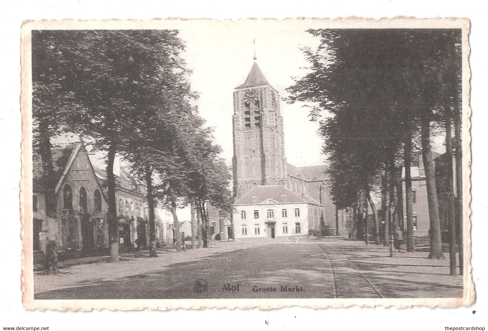 BELGIQUE : ANTWERP MOL - GROETE MARKT Unused - Mol