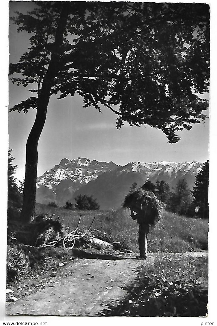 SUISSE - AUX GRANGES S. SALVAN - Scène Des Foins, Les Dts De Morcles - Morcles