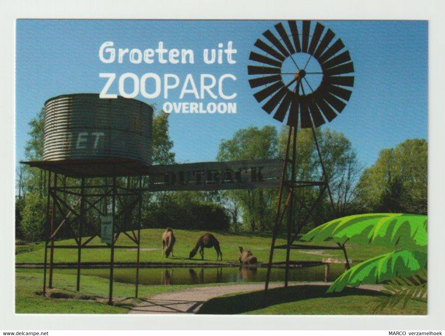 Groeten Uit ZOOparc Overloon (NL) - Boxmeer