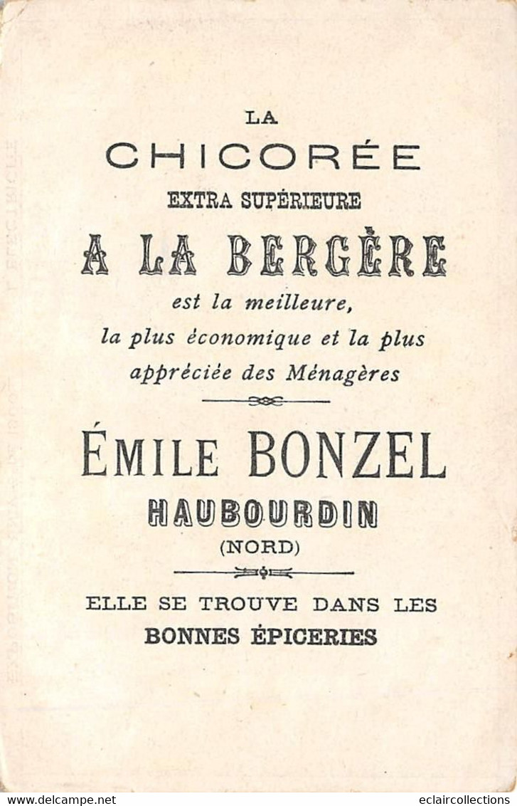 Image; 13.5 X 9.5  Exposition Universelle Paris 1900. L'Electricité  Chicorée A La  Bergère 59 Haubourdin (voir Scan) - Andere & Zonder Classificatie