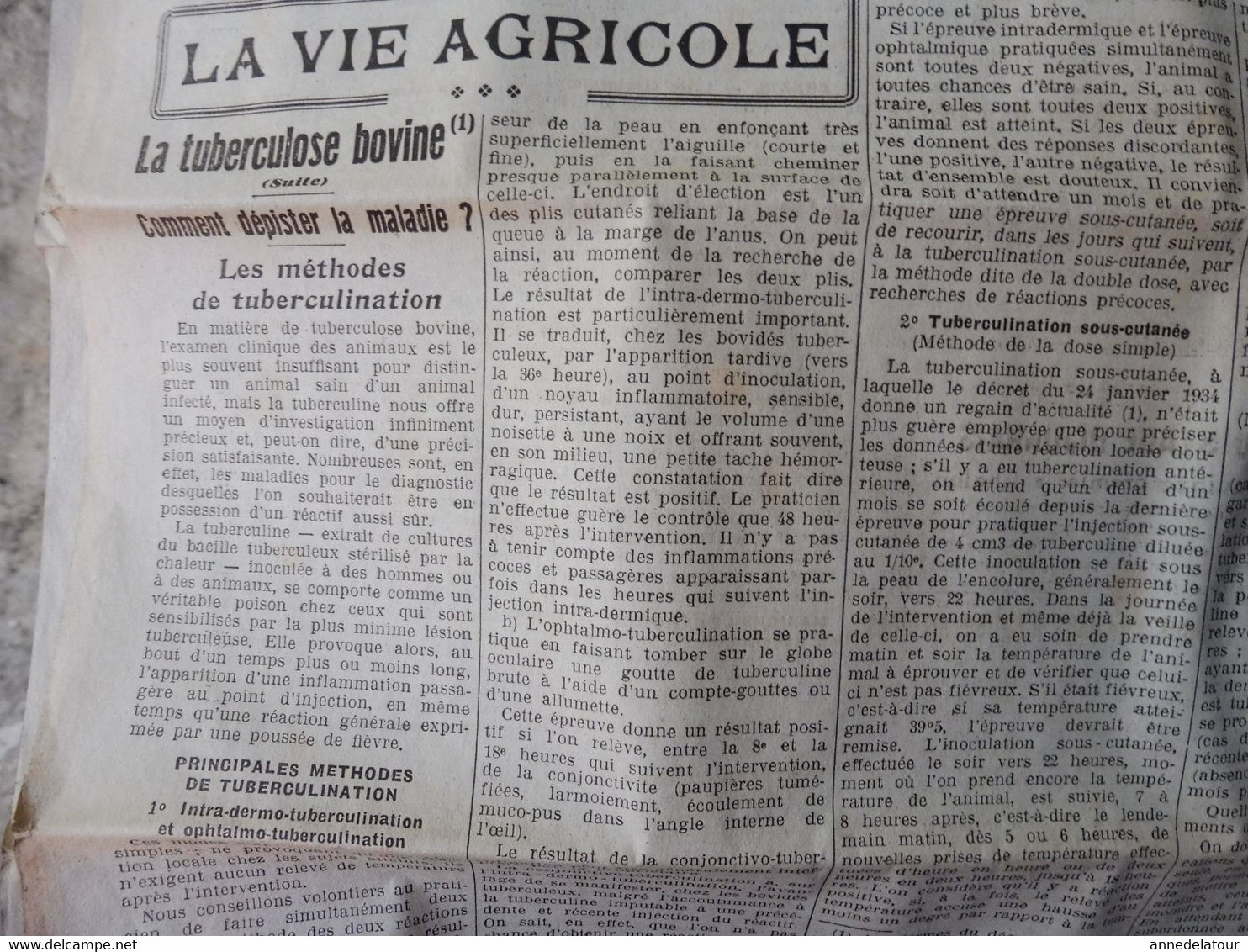 1936 LE PROGRES :  BD Saladin en Sibérie (Bande Dessinée) ; Auxonne ; Procès Stavizky ; ; Vie agricole ; Etc