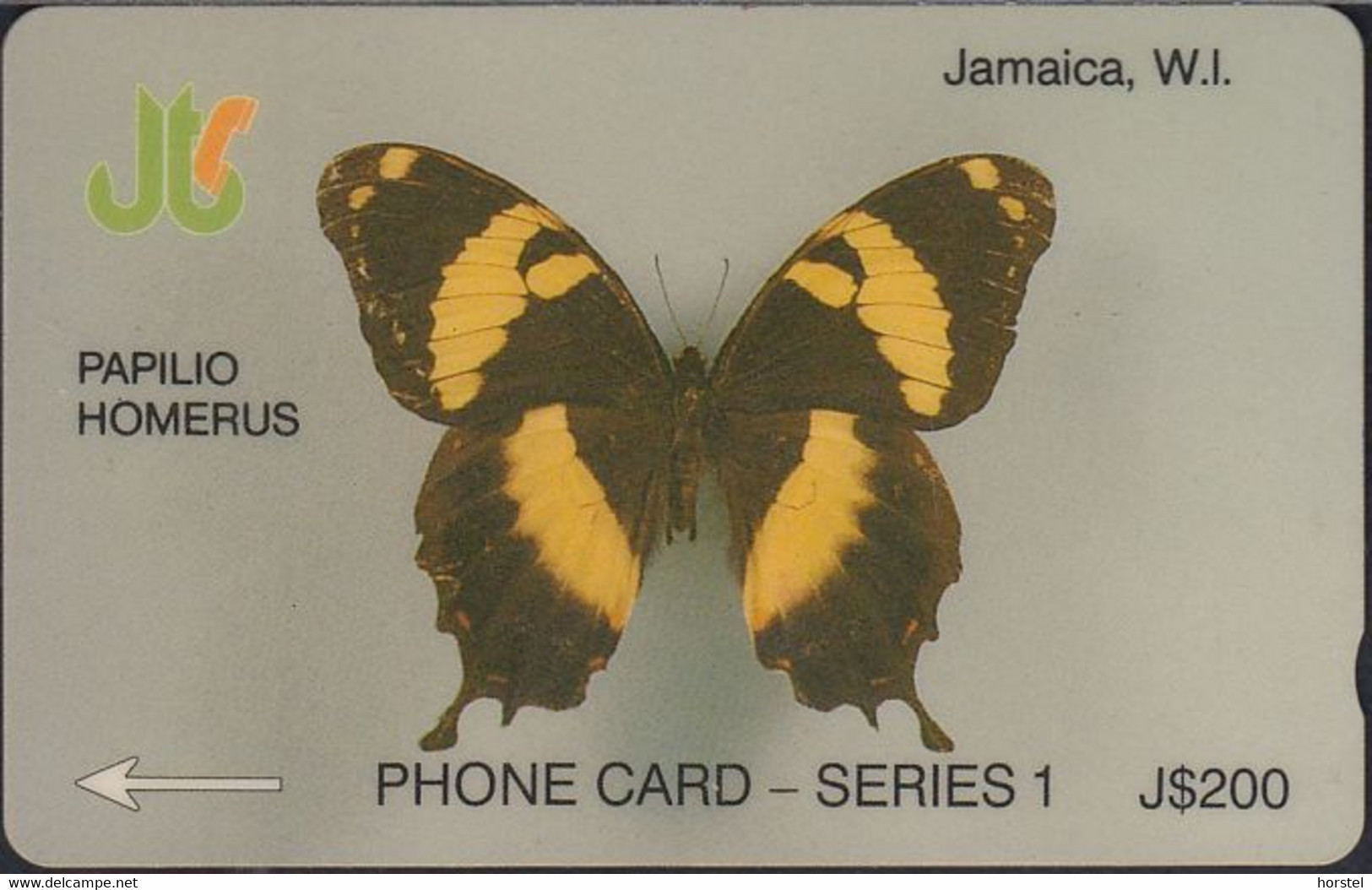 Jamaica - 8B - Papilio Homerus -  Schwalbenschwanz - Schmetterling - 8JAMD - Jamaica