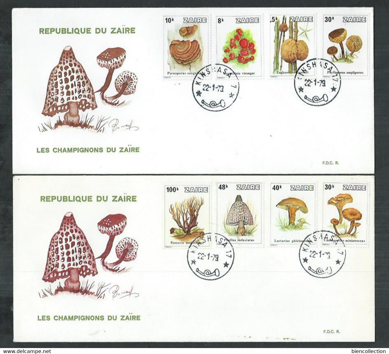 Zaïre , Champignons, Mushroom, Champiñones - 1971-1979