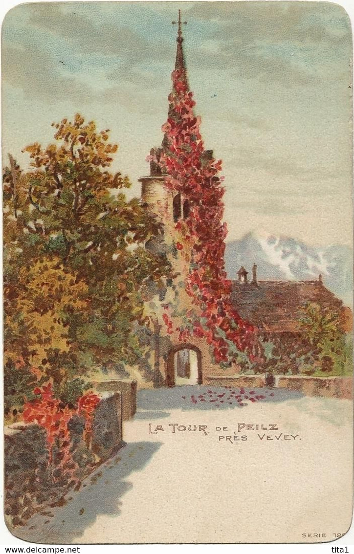 13 - La Tour De Peilz Près De Vevey - La Tour-de-Peilz