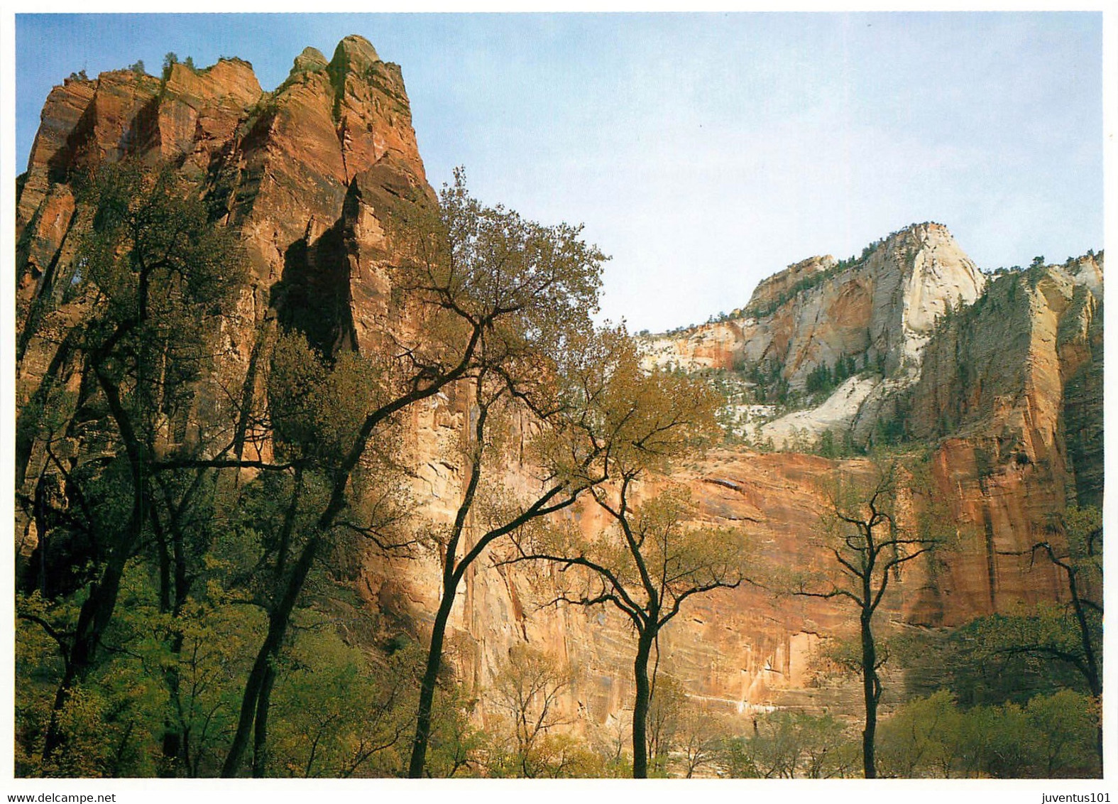 CPSM Zion National Park    L820 - Zion