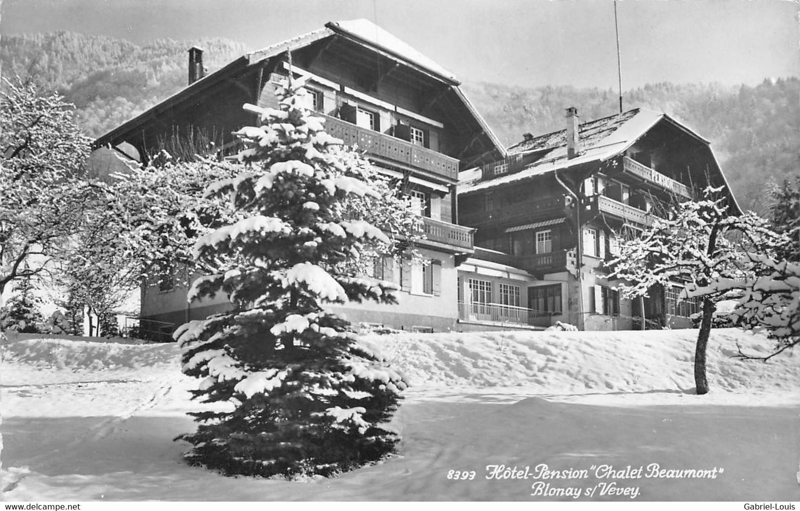 Hôtel Pension Chalet Beaumont Blonay S Vevey - En Hiver - Vevey