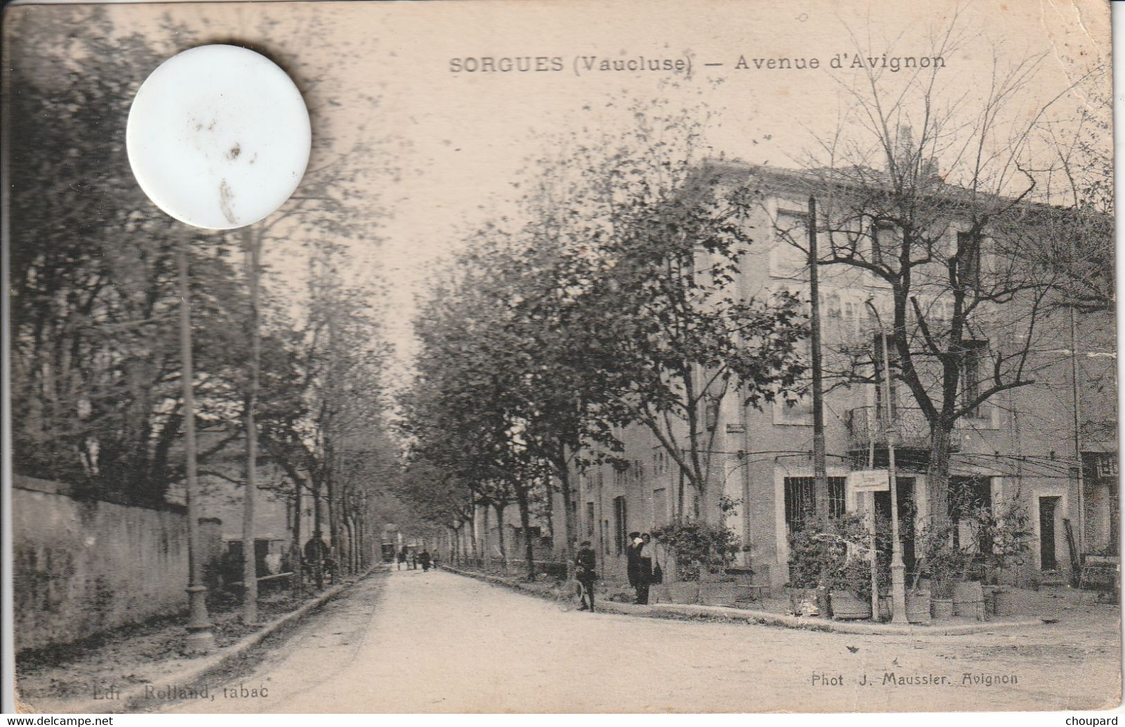 84  - Carte Postale Ancienne De   SORGUES   Avenue D'Avignon - Sorgues