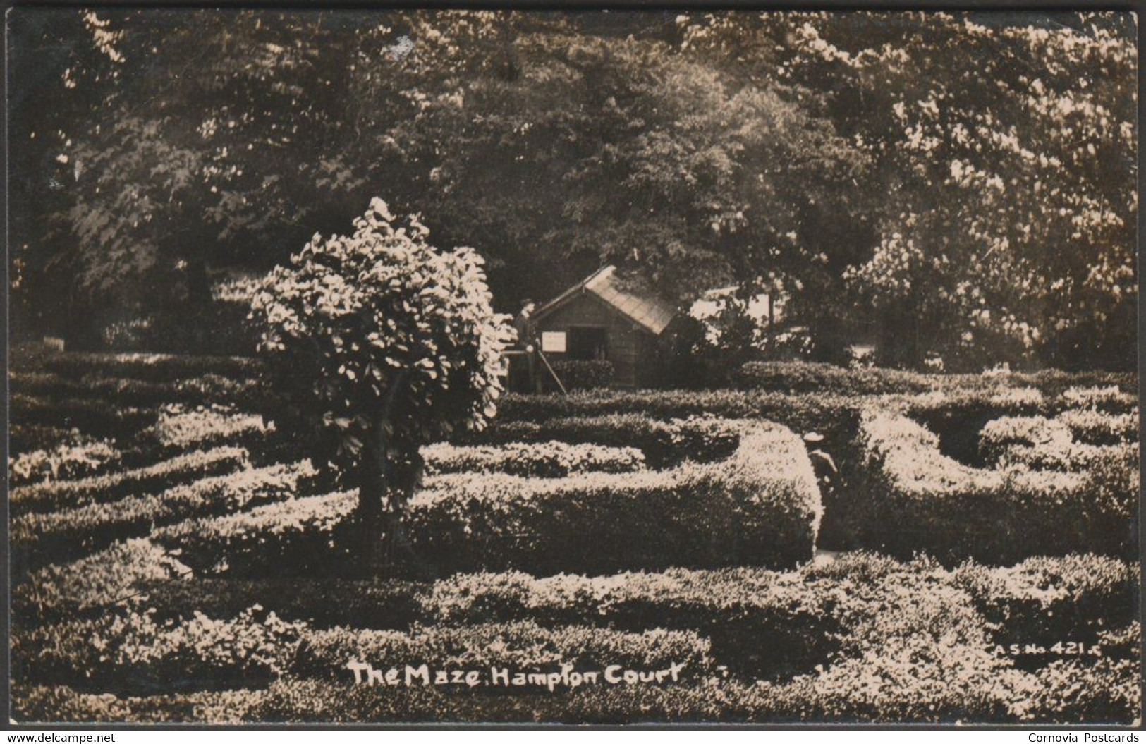 The Maze, Hampton Court, Surrey, 1917 - Andrew Smith RP Postcard - Hampton Court