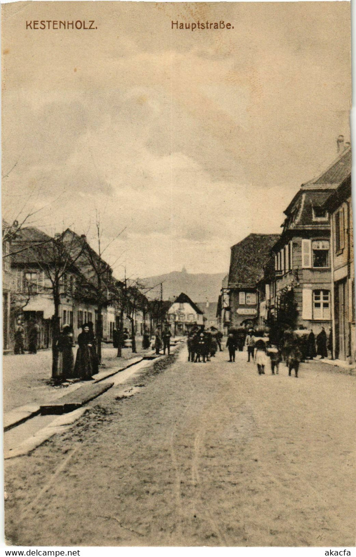 CPA AK KESTENHOLZ - Hauptstrasse (452439) - Chatenois