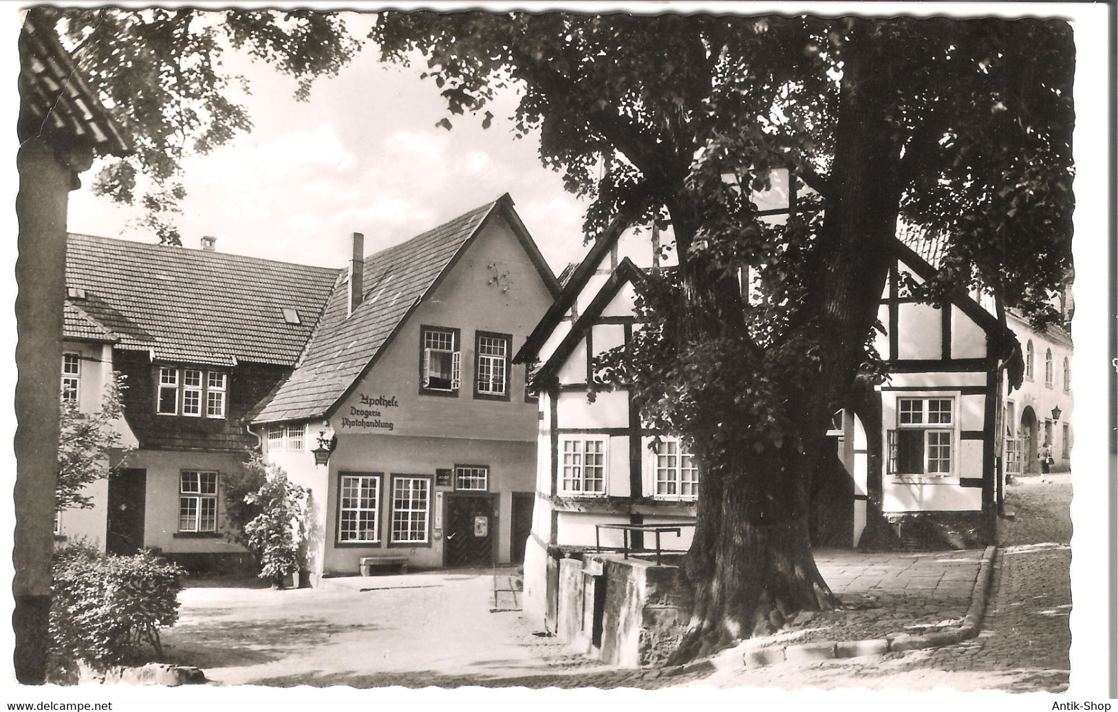 Tecklenburg - Marktlinde  V.1953 (5026) - Steinfurt