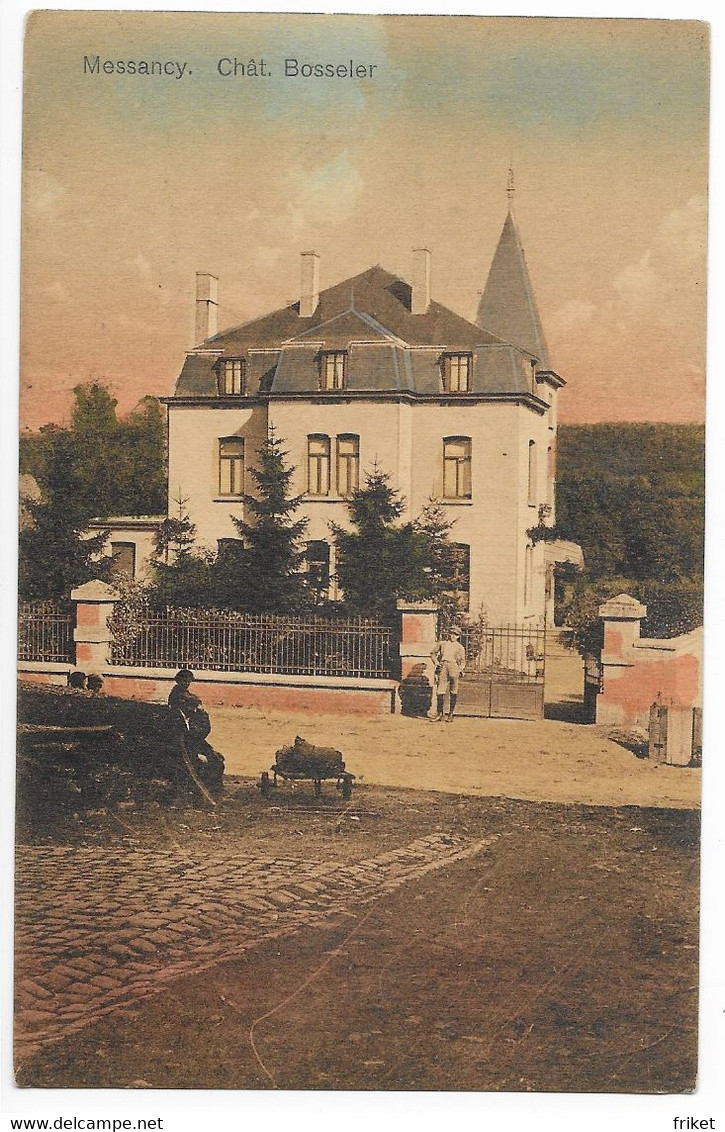 - 2058 -     MESSANCY  Chateau Bosseler ( Colorisee ) - Messancy