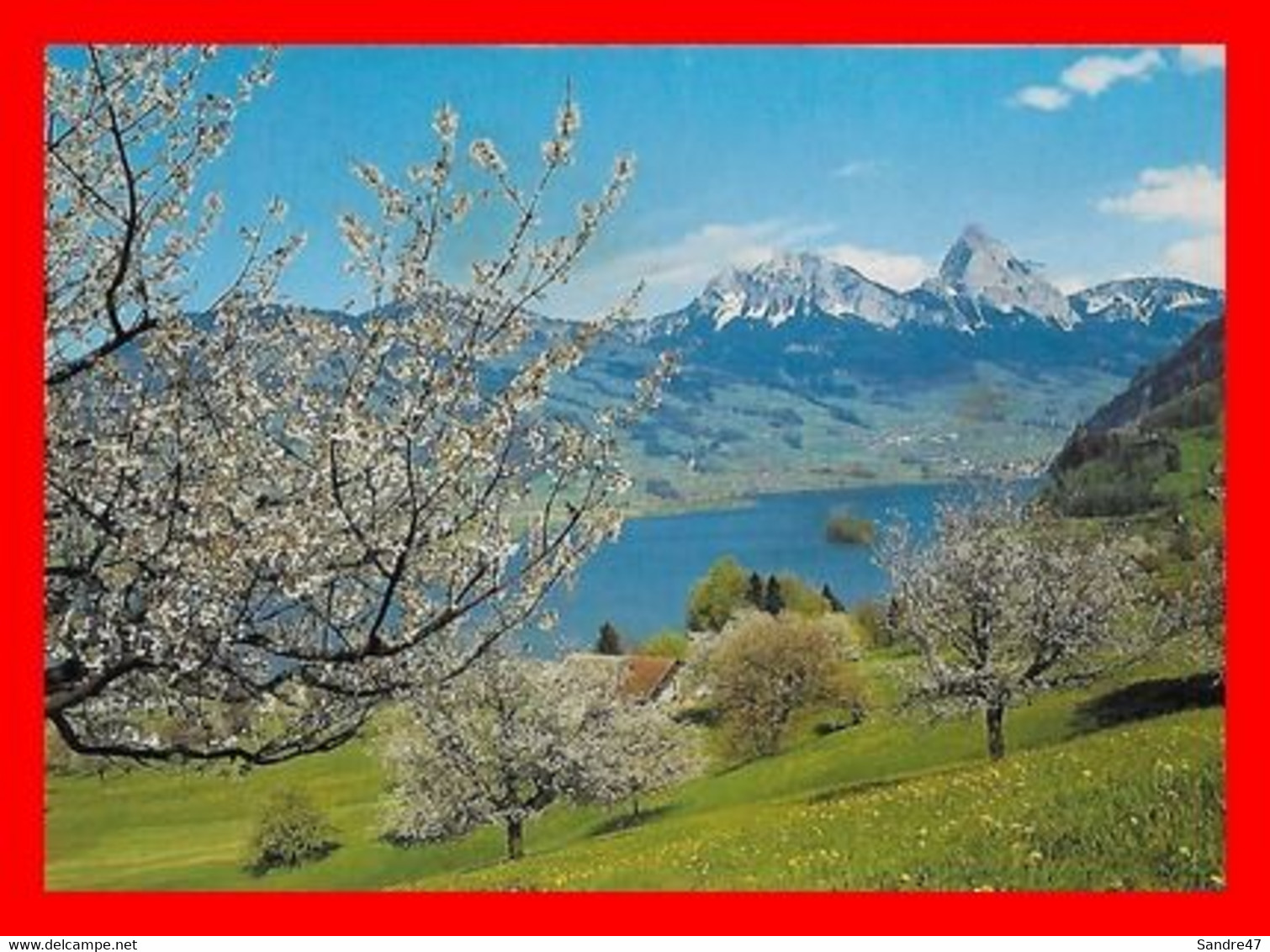 CPSM/gf LAUERZ (Suisse)  Lauerzersee Mit Mythen...I837 - Lauerz