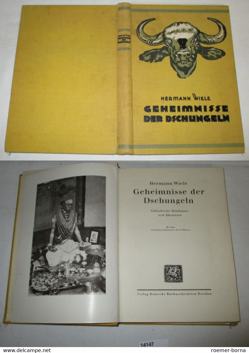 Geheimnisse Der Dschungeln - Südindische Erlebnisse Und Abenteuer - Abenteuer