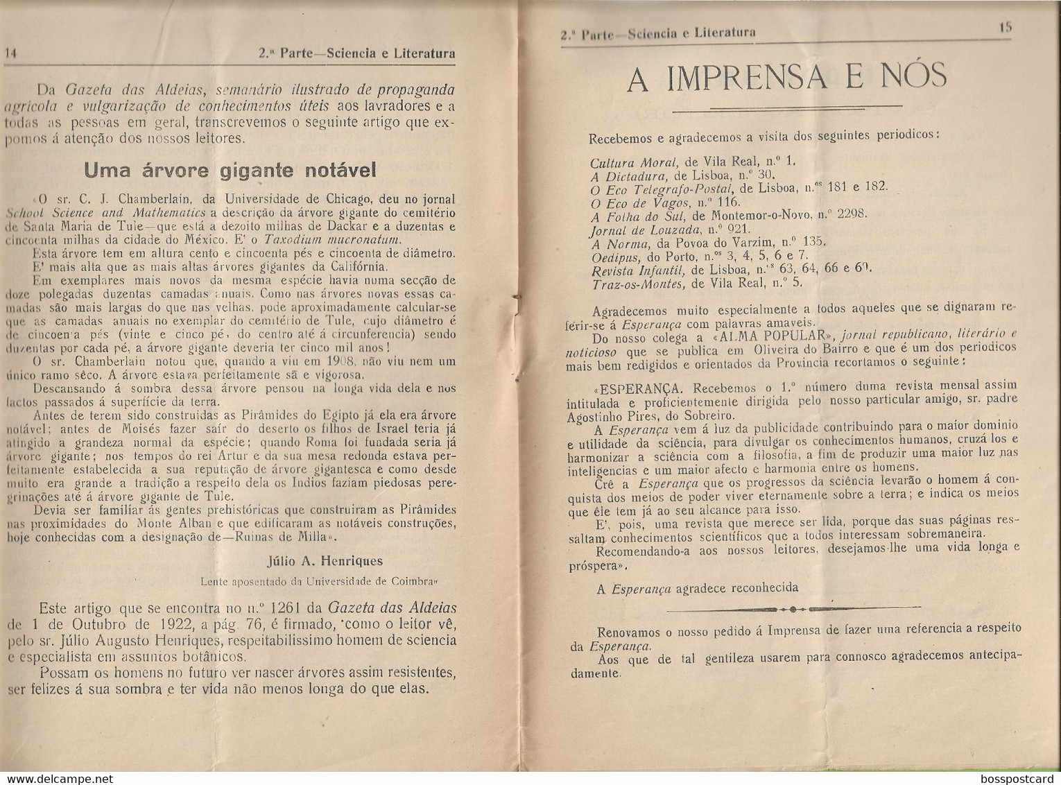 Oliveira Do Bairro - Esperança Nº 2, 26 De Maio De 1925 - Sobreira - Palhaça - Jornal - Imprensa. Aveiro. Portugal. - General Issues