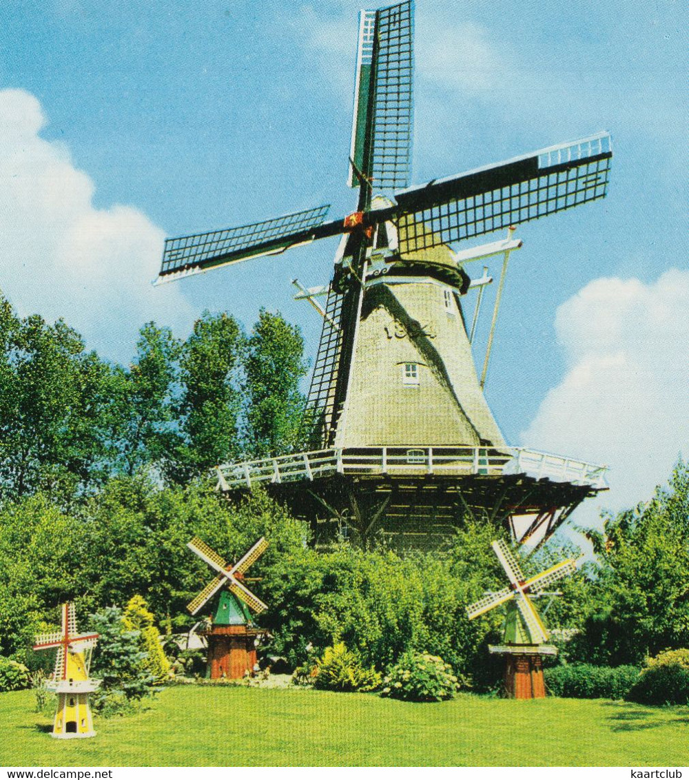 Coevorden - Molen 'De Arend' En 3 Mini Windmolens - (Nederland) - (Moulin à Vent, Mühle, Windmill, Windmolen) - Coevorden