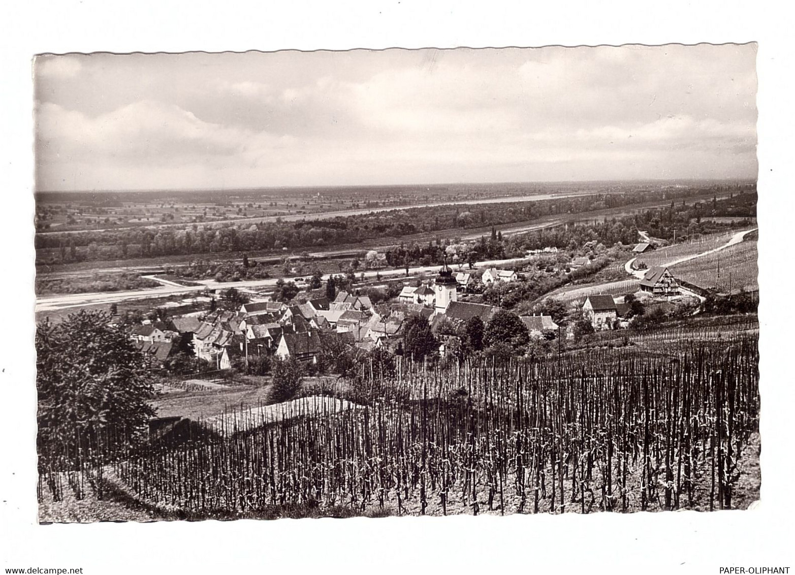 7848 BAD BELLINGEN, Blick Ins Rheintal 1961 - Bad Bellingen