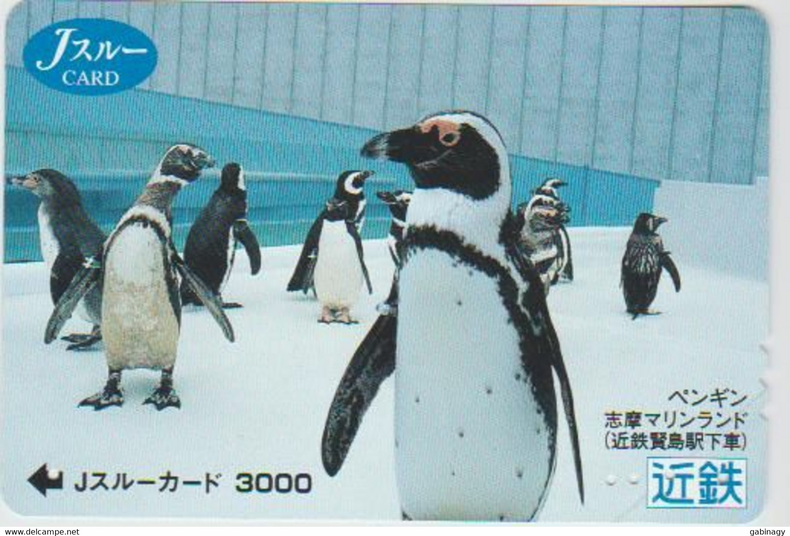 BIRDS - JAPAN - H1973 - Pinguins - PREPAID - Pinguins