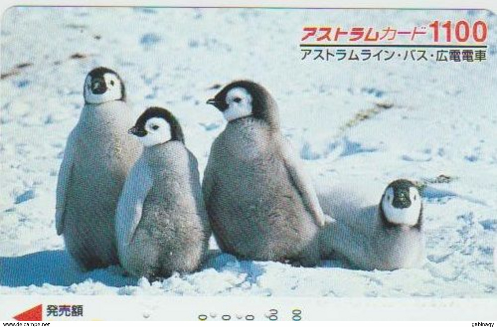 BIRDS - JAPAN - H1979 - Pinguins - PREPAID - Pinguins