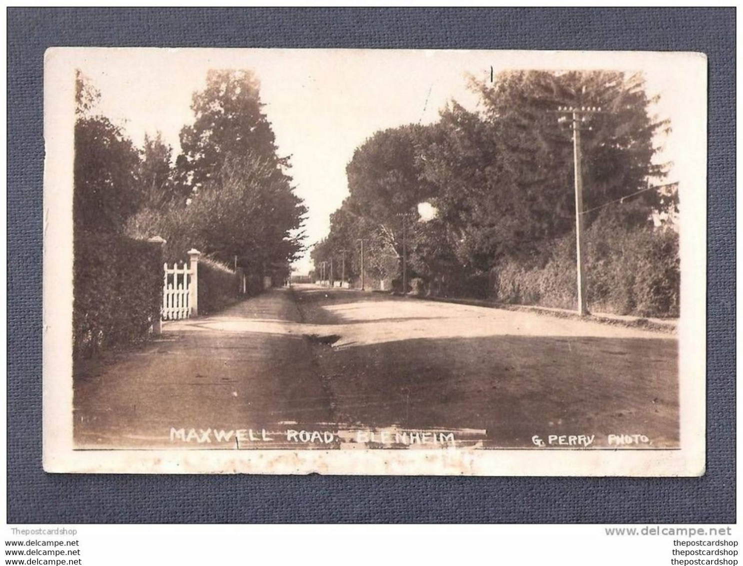 RP AUSTRALIA MAXWELL ROAD Blenheim Queensland G PERRY PHOTO PLAIN BACK - Andere & Zonder Classificatie