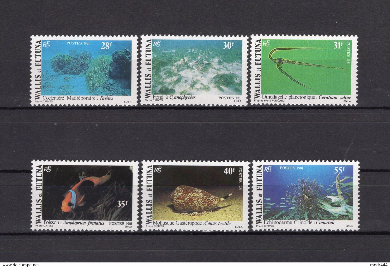 Wallis And Futuna 1981 - Sea Shells - Stamps 6v - Complete Set - MNH**- Excellent Quality - Covers & Documents