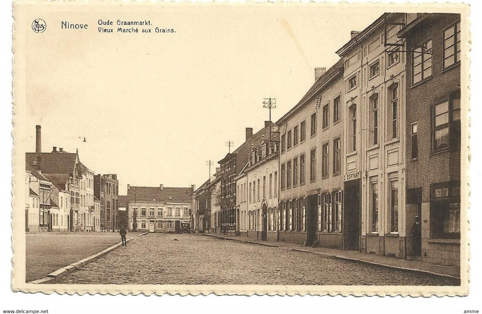 Ninove   *  Oude Graanmarkt - Vieux Marché Aux Grains - Ninove