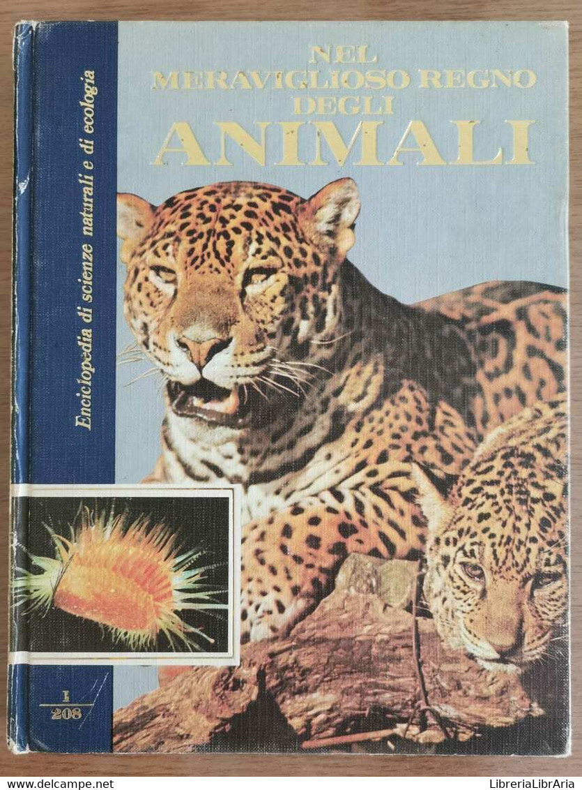 Nel Meraviglioso Mondo Degli Animali 1 - Curcio Editore - 1990 - AR - Nature