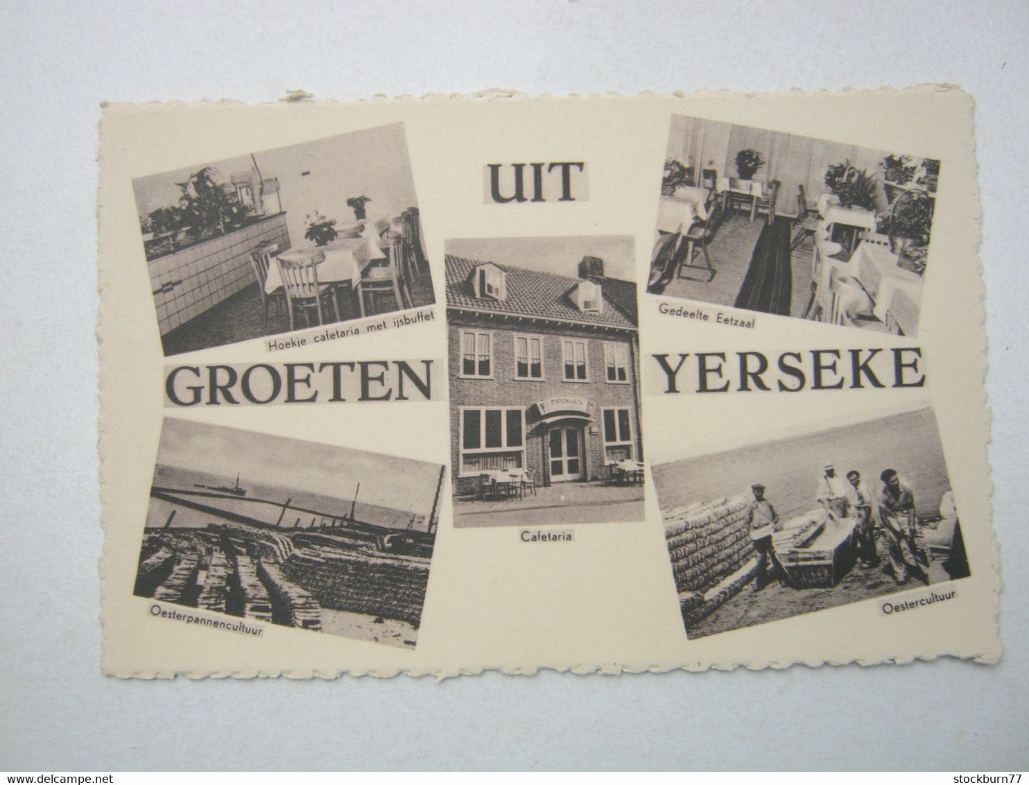 YERSEKE  ,   Cafe    Briefkaart - Yerseke