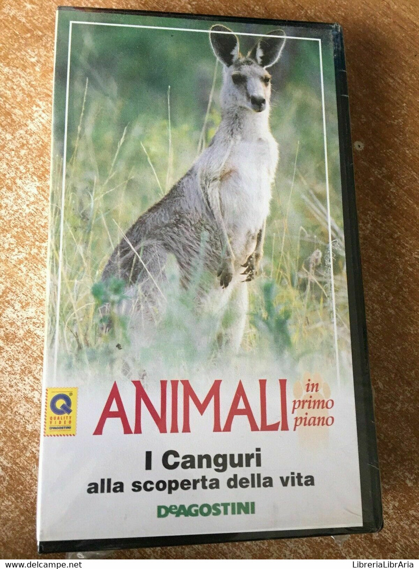 Animali In Primo Piano I Canguri Alla Scoperta Della Vita- Vhs-1995-DeAgostini-F - Colecciones