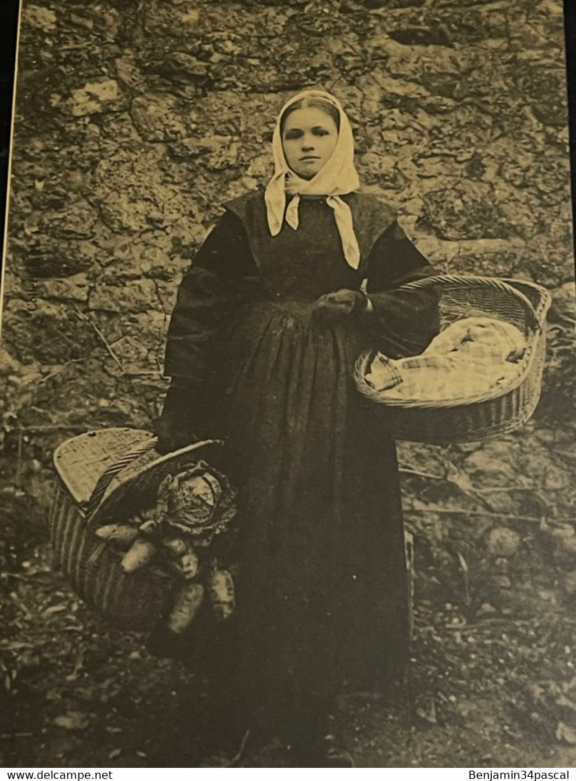 Cpa Finistère, Plouhinec , Marchande de Beurre revenant du Marché  ,Edition Cecodi d’après 1900 Qualité