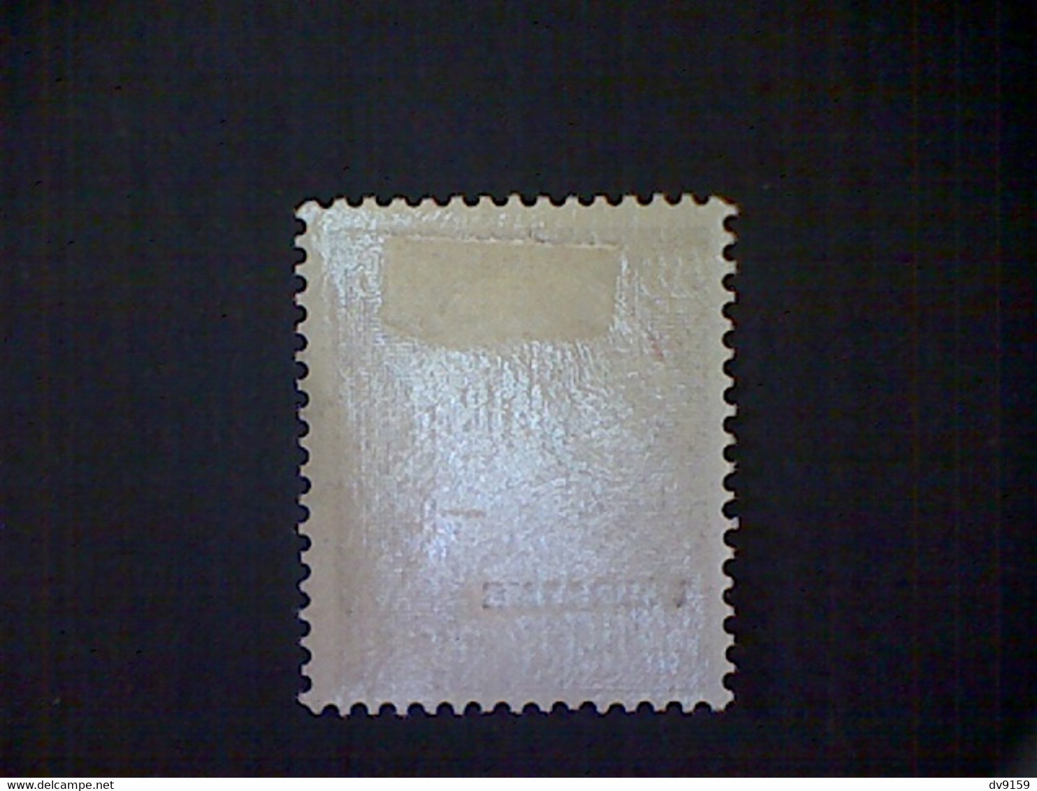 Russia, Scott #N51, Mint (*), 1941, Hitler Overprint Ukraine, 15pf, Brown Lake - 1941-43 Occupation Allemande