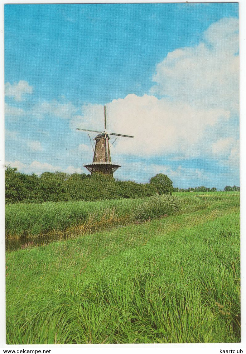 Gorinchem - Molen Dalemseveld - (Zuid-Holland, Nederland) - (Moulin à Vent, Mühle, Windmill, Windmolen) - GOM5 - Gorinchem