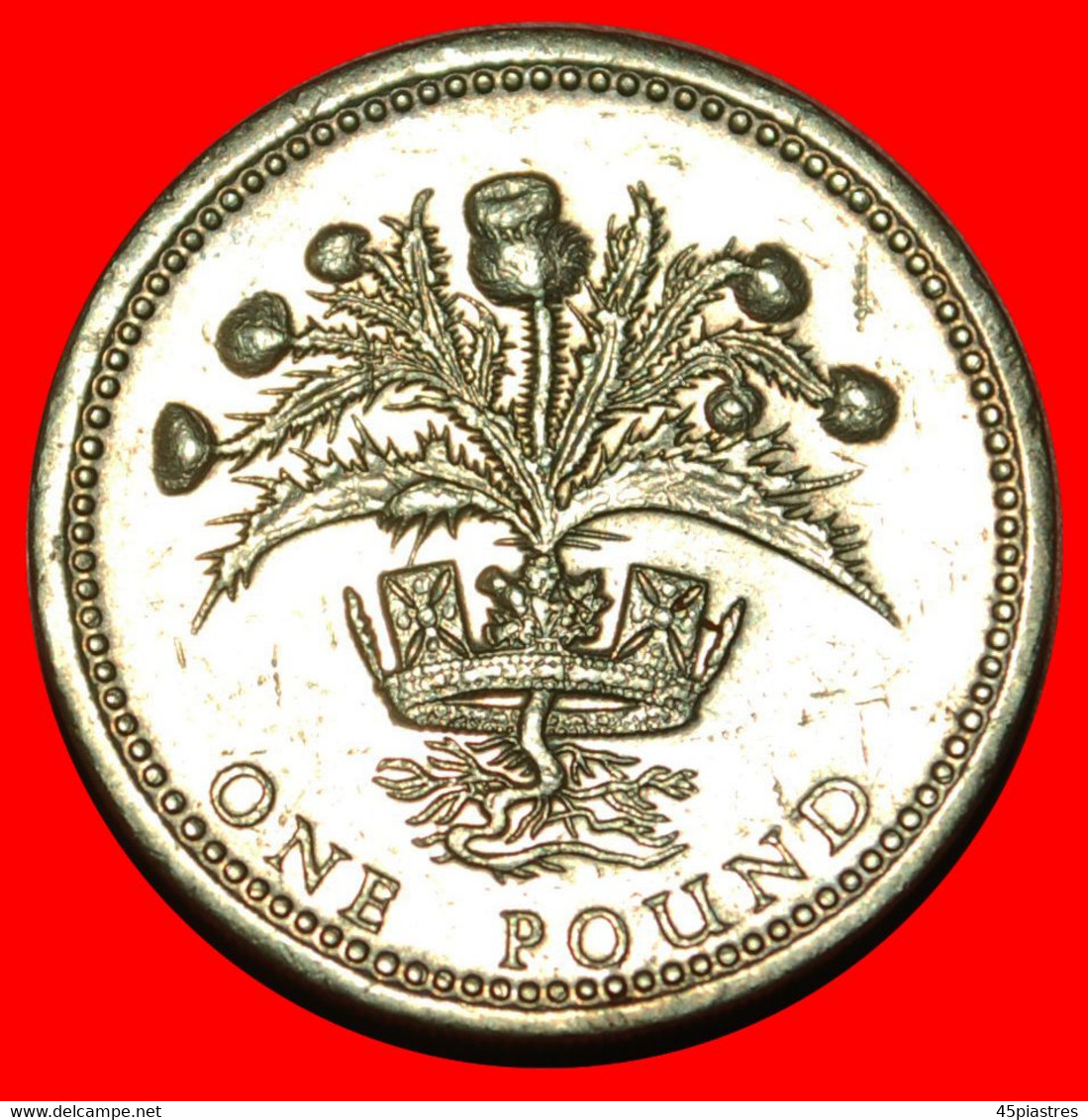 * THISTLE: GREAT BRITAIN ★ 1 POUND 1984! LOW START ★ NO RESERVE! - 1 Pound