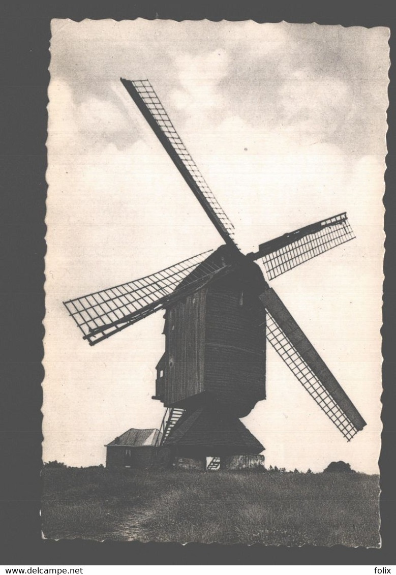 Meerhout - De Molen Weversberg - Moulin / Mill - Meerhout