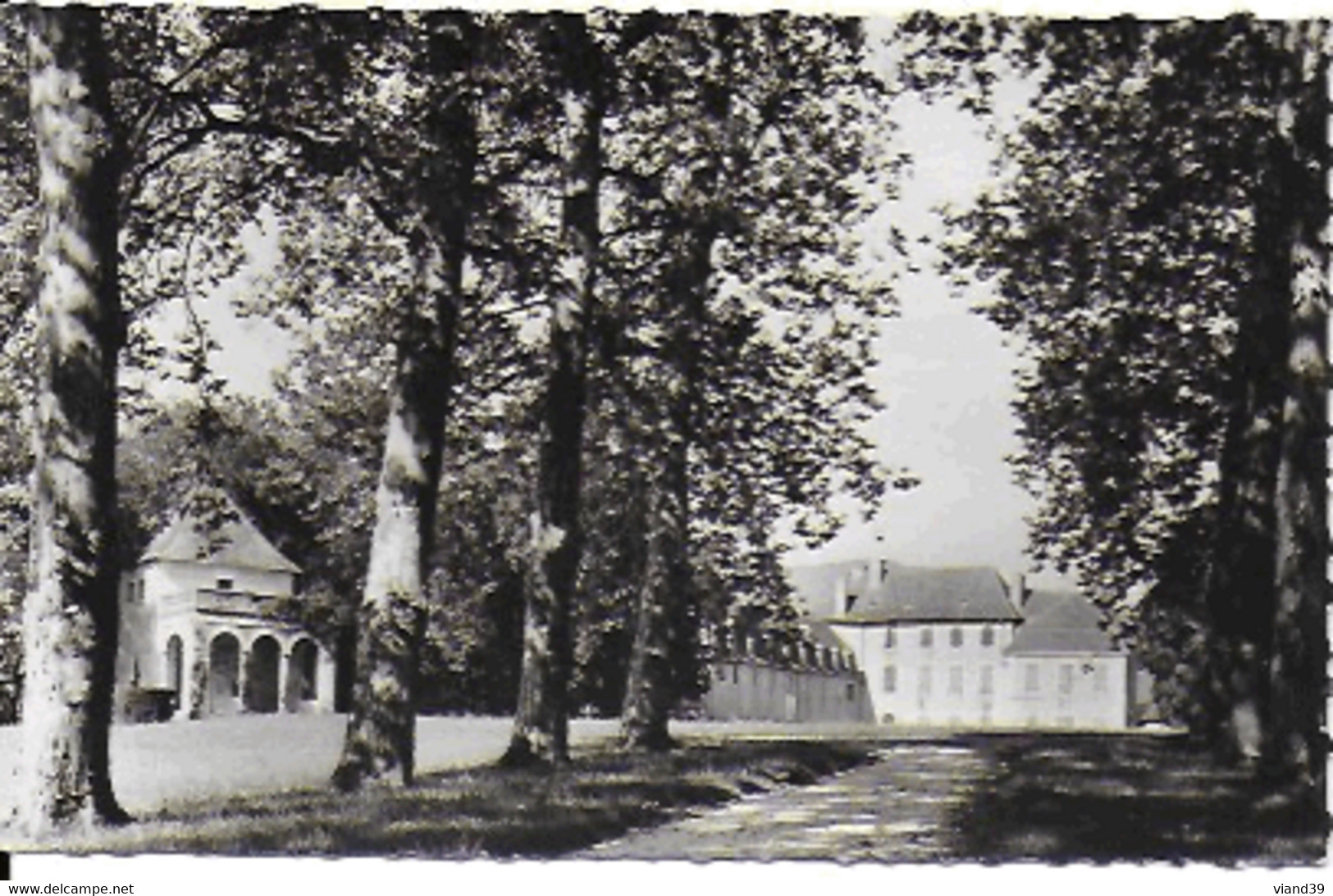 Brangues - Avenue Du Château - Brangues