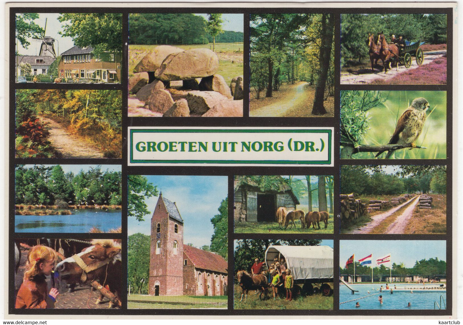 Groeten Uit Norg -  (Drenthe, Holland) -  Nr. L 8107 - Norg