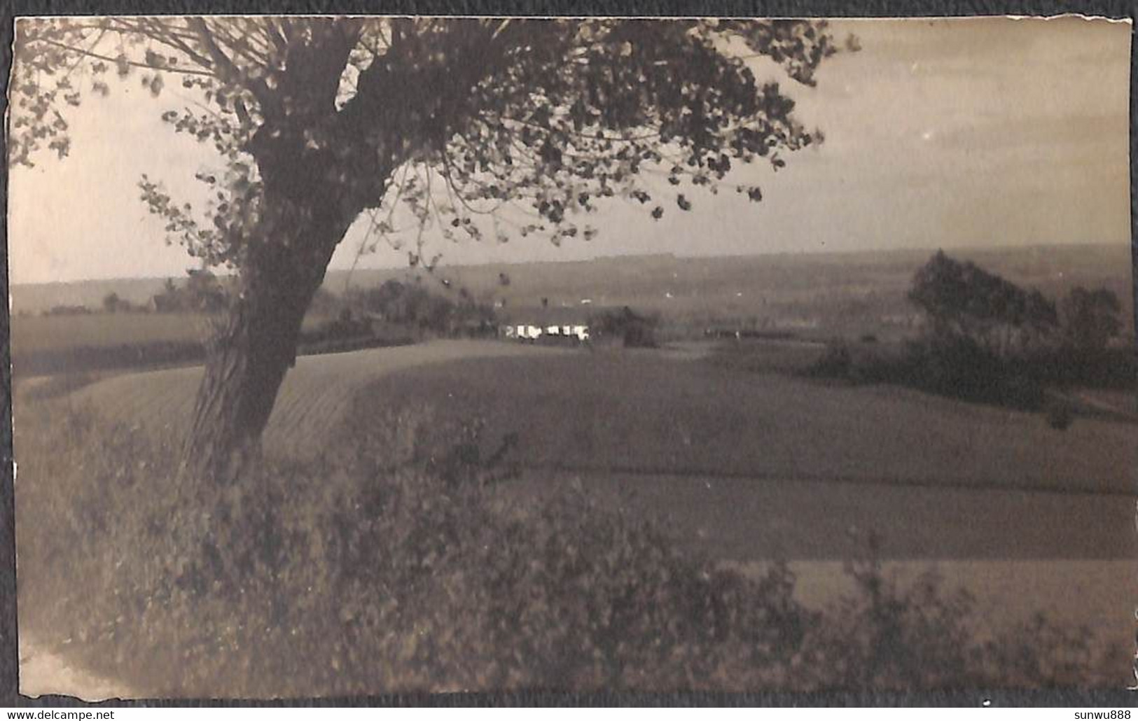 Comines - Carte Photo D'Art N. Verheyde - Comines-Warneton - Komen-Waasten