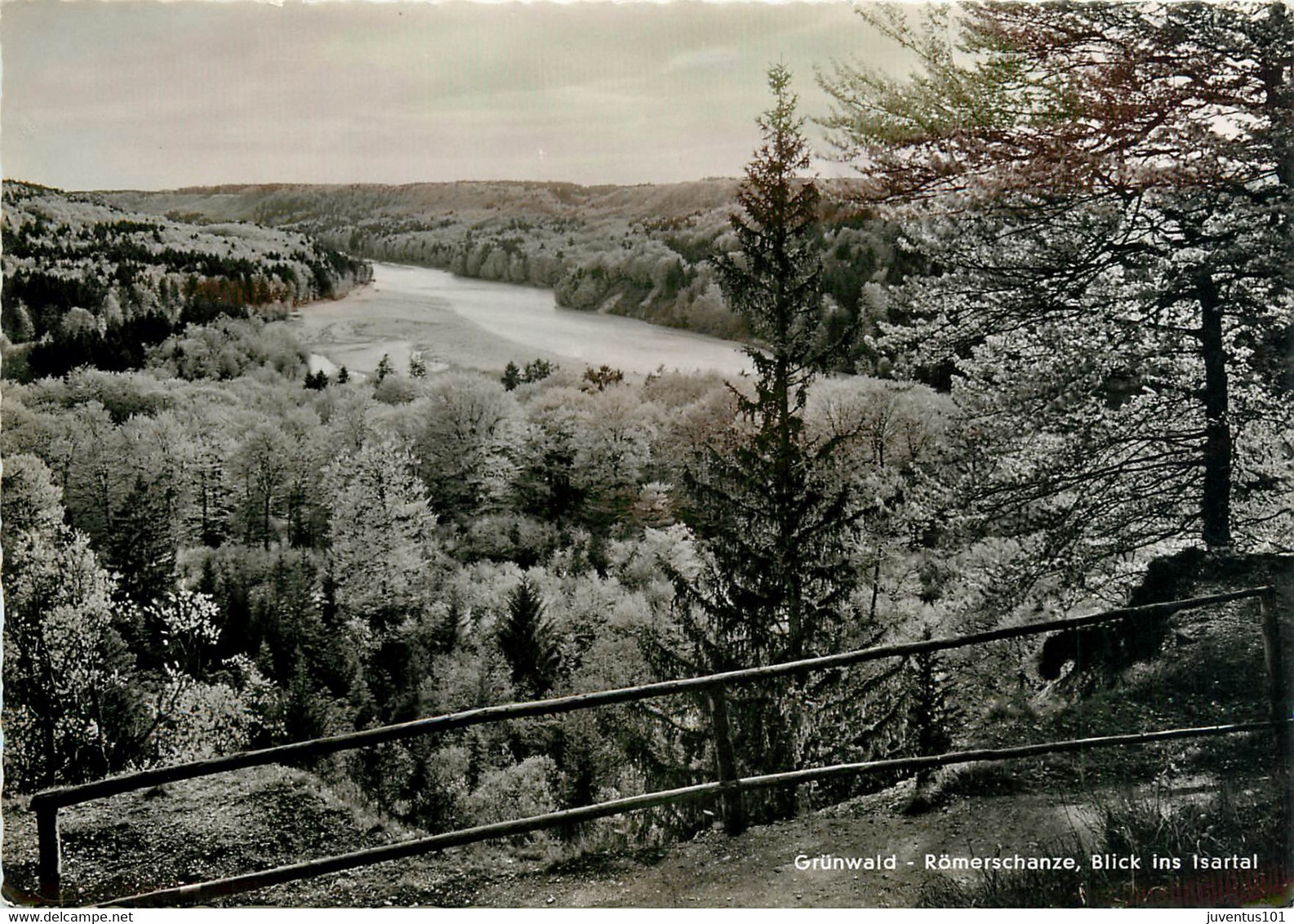 CPSM Grünwald-Römerschanze-Blick Ins Isartal  L901 - Grunewald