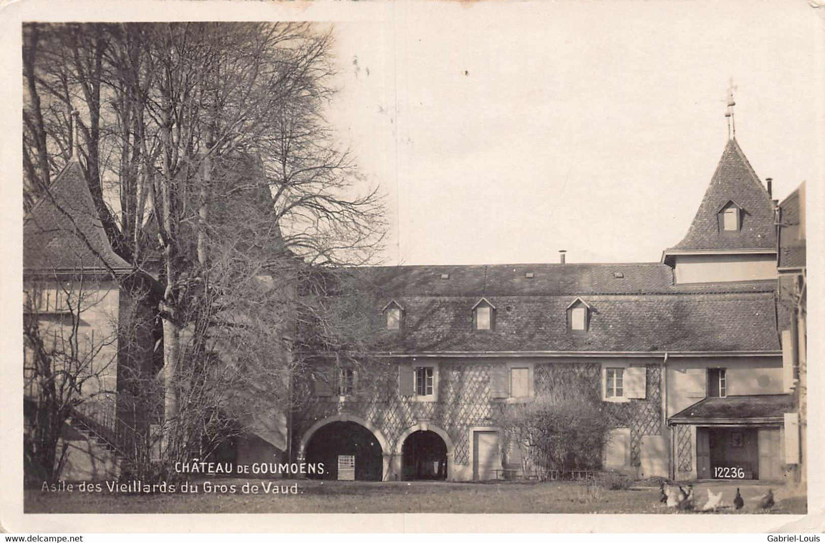 Château De Goumoëns Asile Des Vieillards Du Gros De Vaud - Poules - 1930 - Goumoëns