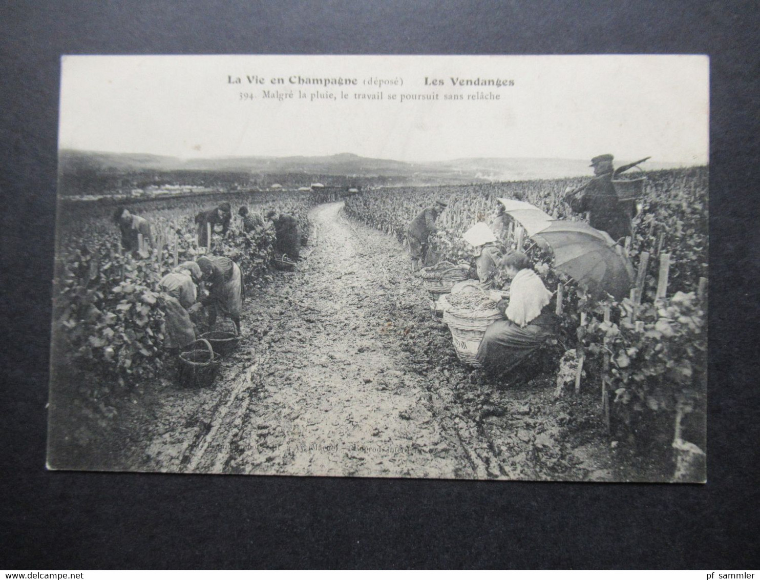 Frankreich AK Um 1910 La Vie En Champagne Les Vendanges / Weinlese Malgre La Pluie Sekt Champagner Moet Chandon - Vines