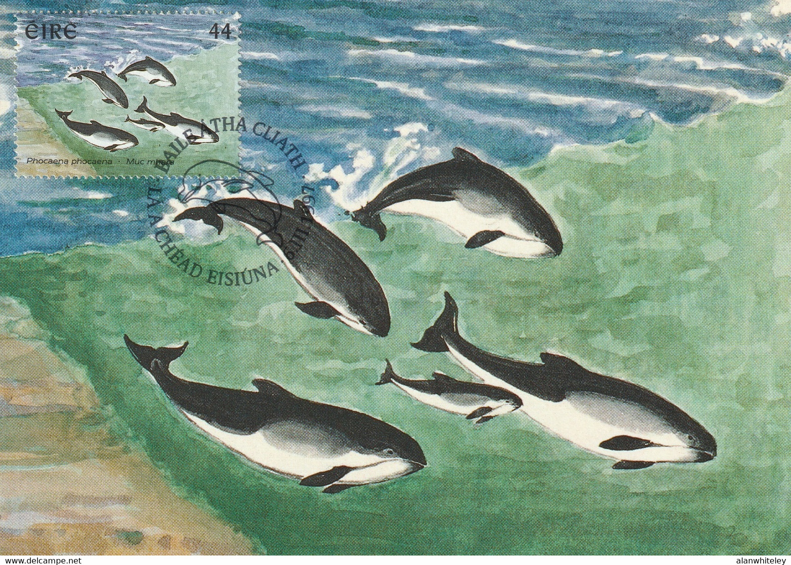 IRELAND 1997 Marine Mammals: Set Of 4 Maximum Cards CANCELLED - Cartes-maximum