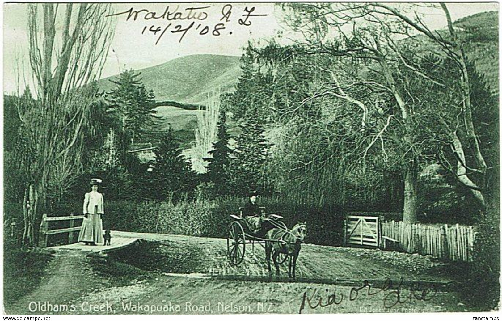 NEW ZEALAND - FRANCE OLDHAM'S CREEK NELSON POSTCARD 1908 - Cartas & Documentos