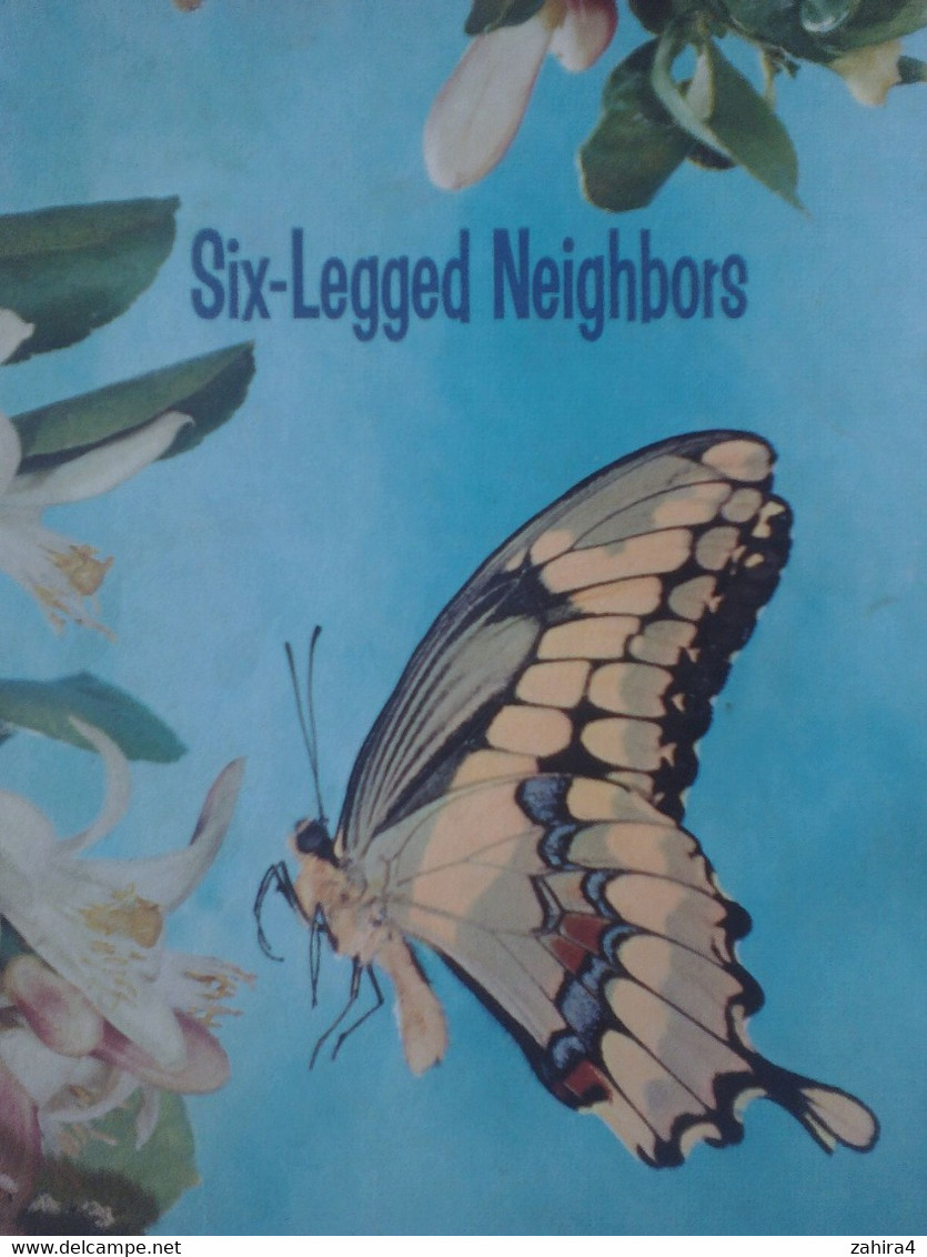 USA Six Legged Neighbors Papillons Basic Science Education Series Bertha Morris Parker Mabel O'Donnell Plus De 35 Dessin - Vida Salvaje