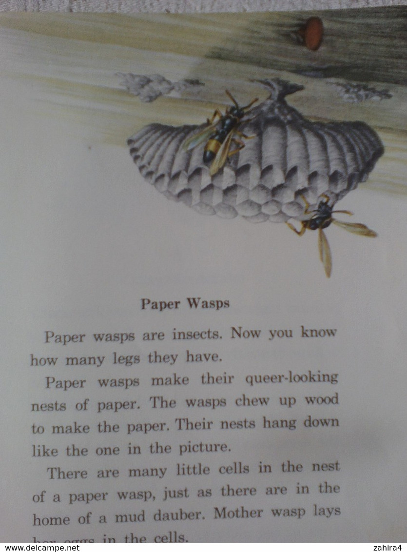 USA Six Legged Neighbors Papillons Basic Science Education Series Bertha Morris Parker Mabel O'Donnell Plus De 35 Dessin - Vie Sauvage