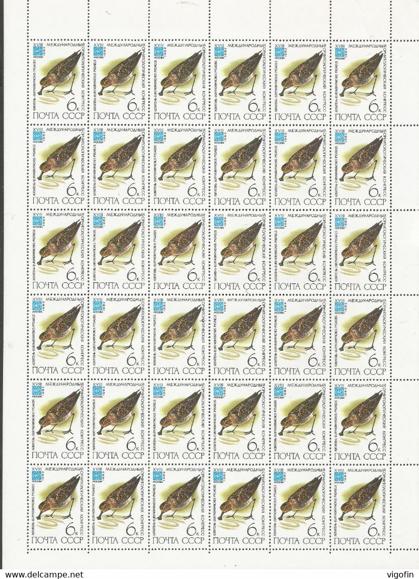 USSR 1982-5181-6 BIRDS, S S S R, 6SHEETS, MNH - Fogli Completi