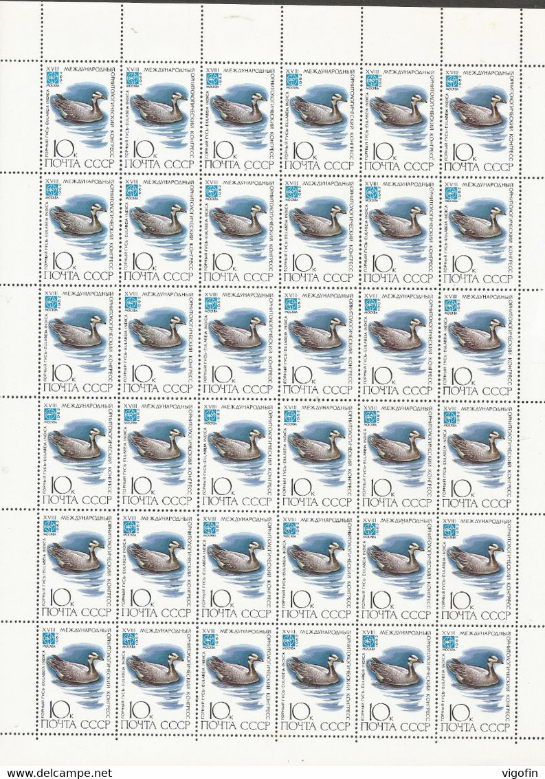 USSR 1982-5181-6 BIRDS, S S S R, 6SHEETS, MNH - Feuilles Complètes